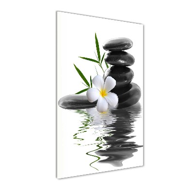 Glass wall art Orchid and stones