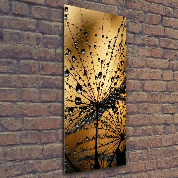 Glass wall art Dandelion seeds