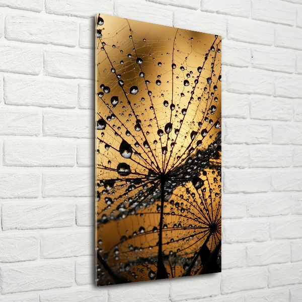 Glass wall art Dandelion seeds