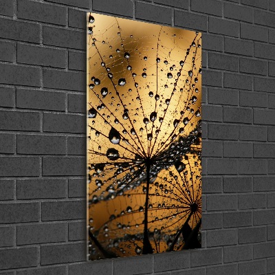 Glass wall art Dandelion seeds