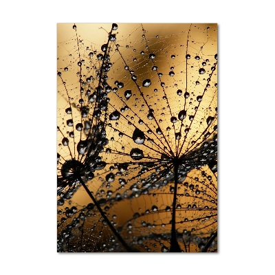 Glass wall art Dandelion seeds