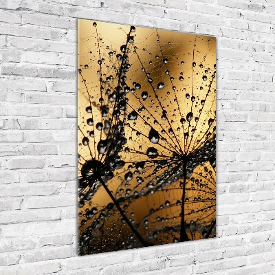 Glass wall art Dandelion seeds