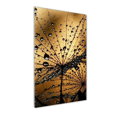 Glass wall art Dandelion seeds