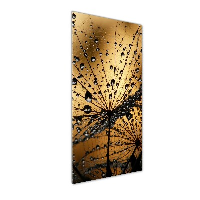 Glass wall art Dandelion seeds