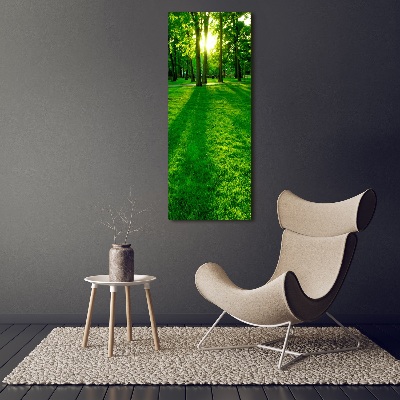 Printed glass wall art The sun in the park