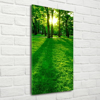 Printed glass wall art The sun in the park