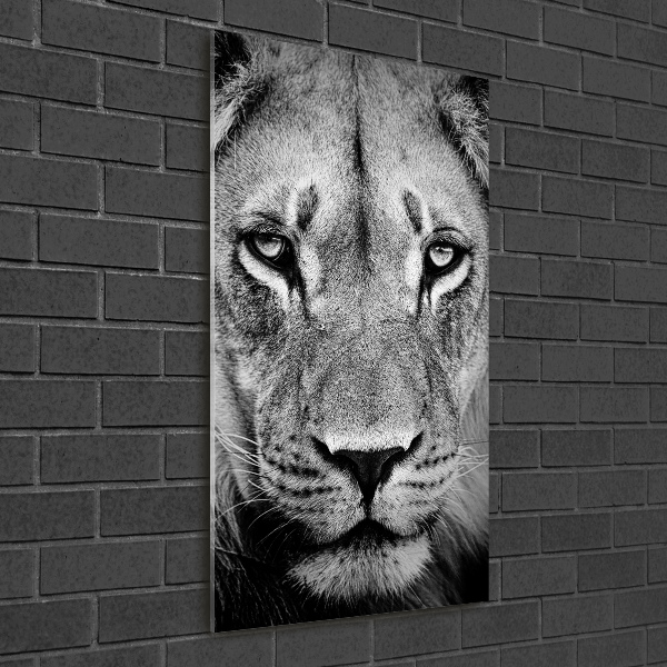 Glass wall art Portrait of a lion