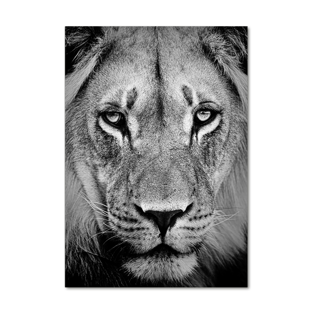 Glass wall art Portrait of a lion