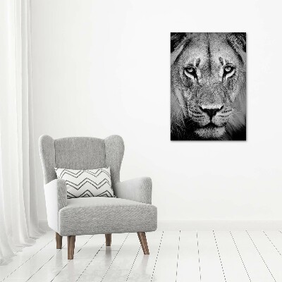 Glass wall art Portrait of a lion