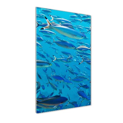 Glass wall art Coral fish