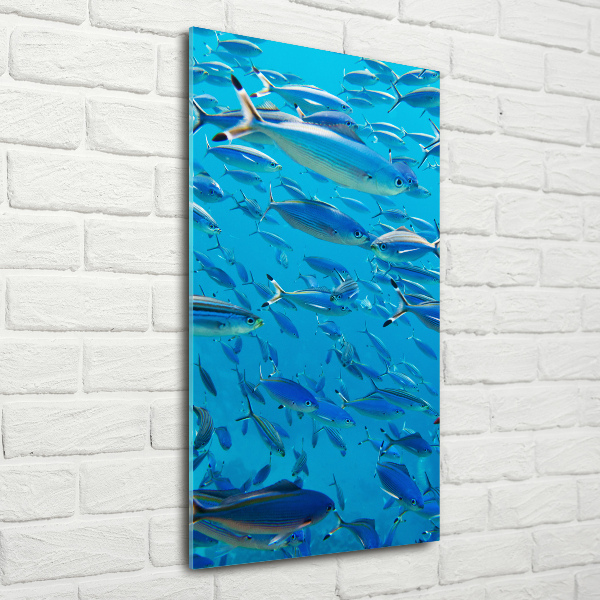 Glass wall art Coral fish