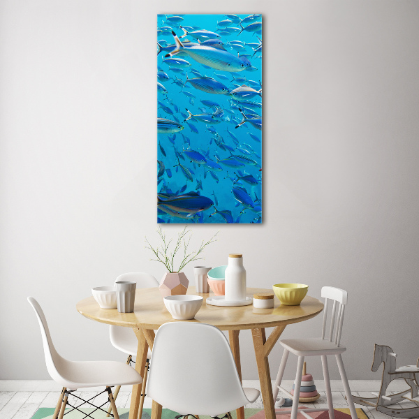 Glass wall art Coral fish