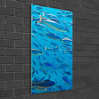 Glass wall art Coral fish