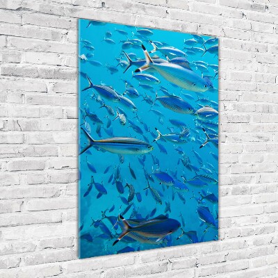 Glass wall art Coral fish