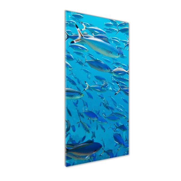 Glass wall art Coral fish