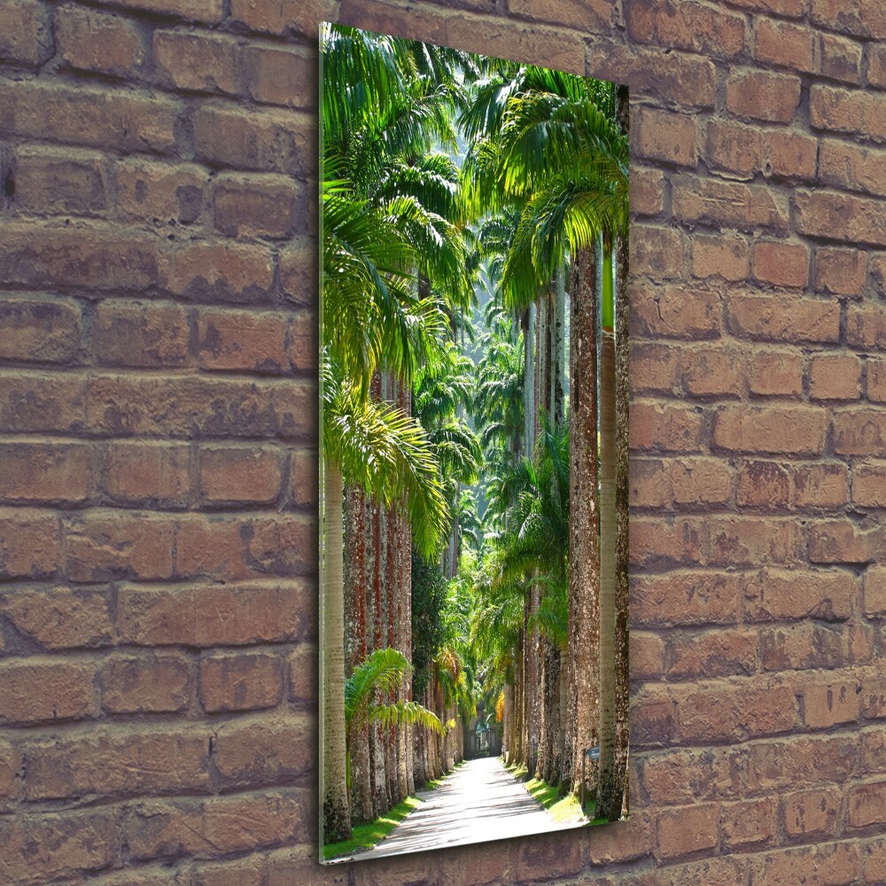 Photo printed on glass Palm trees