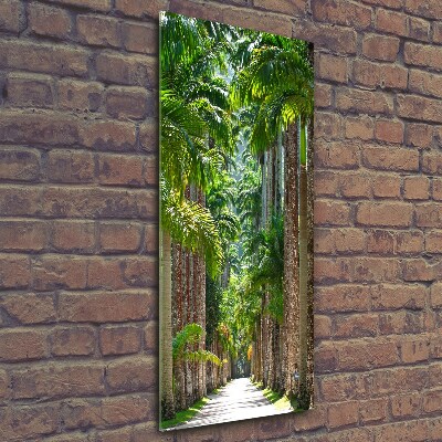 Photo printed on glass Palm trees