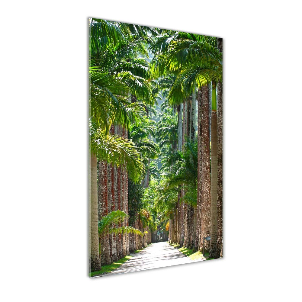 Photo printed on glass Palm trees