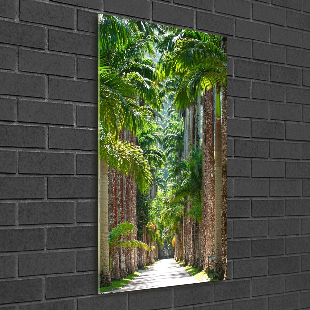 Photo printed on glass Palm trees