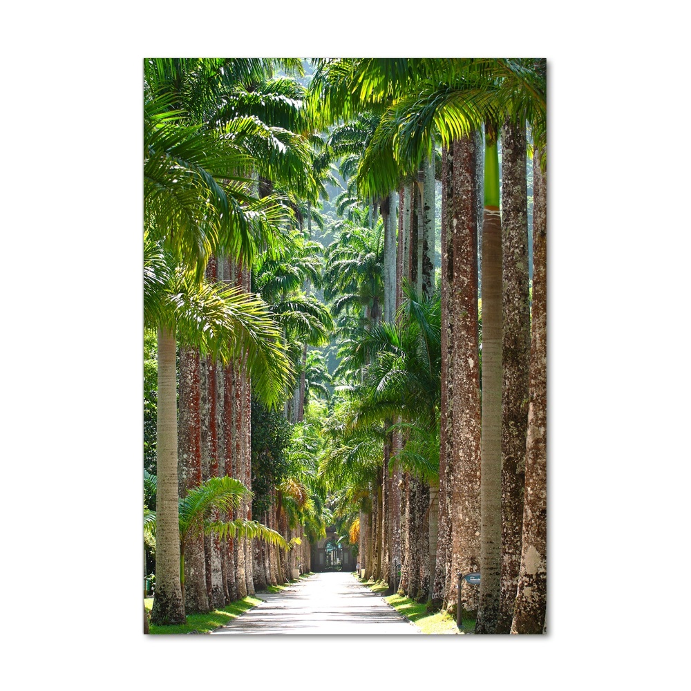 Photo printed on glass Palm trees