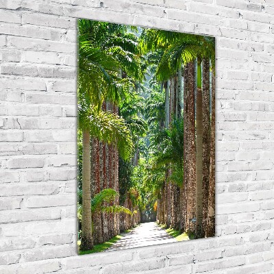 Photo printed on glass Palm trees