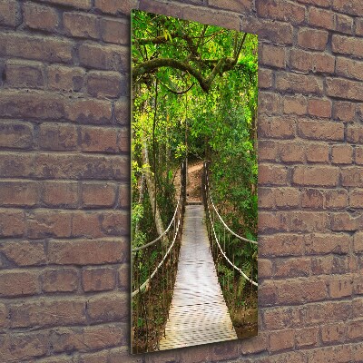 Photo printed on glass The bridge hanging in the forest