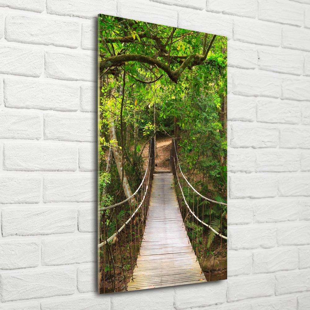 Photo printed on glass The bridge hanging in the forest