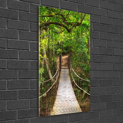 Photo printed on glass The bridge hanging in the forest