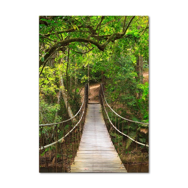 Photo printed on glass The bridge hanging in the forest