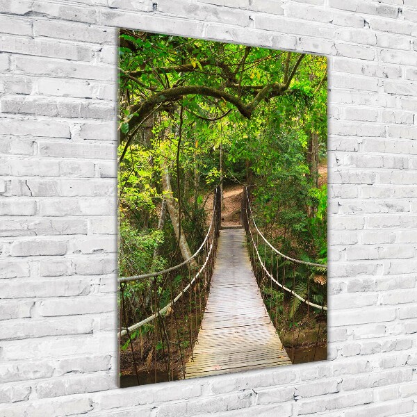 Photo printed on glass The bridge hanging in the forest