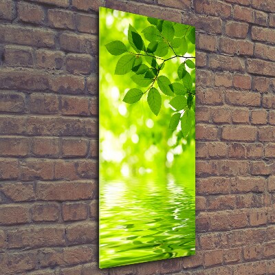 Print on a a glass Green leaves