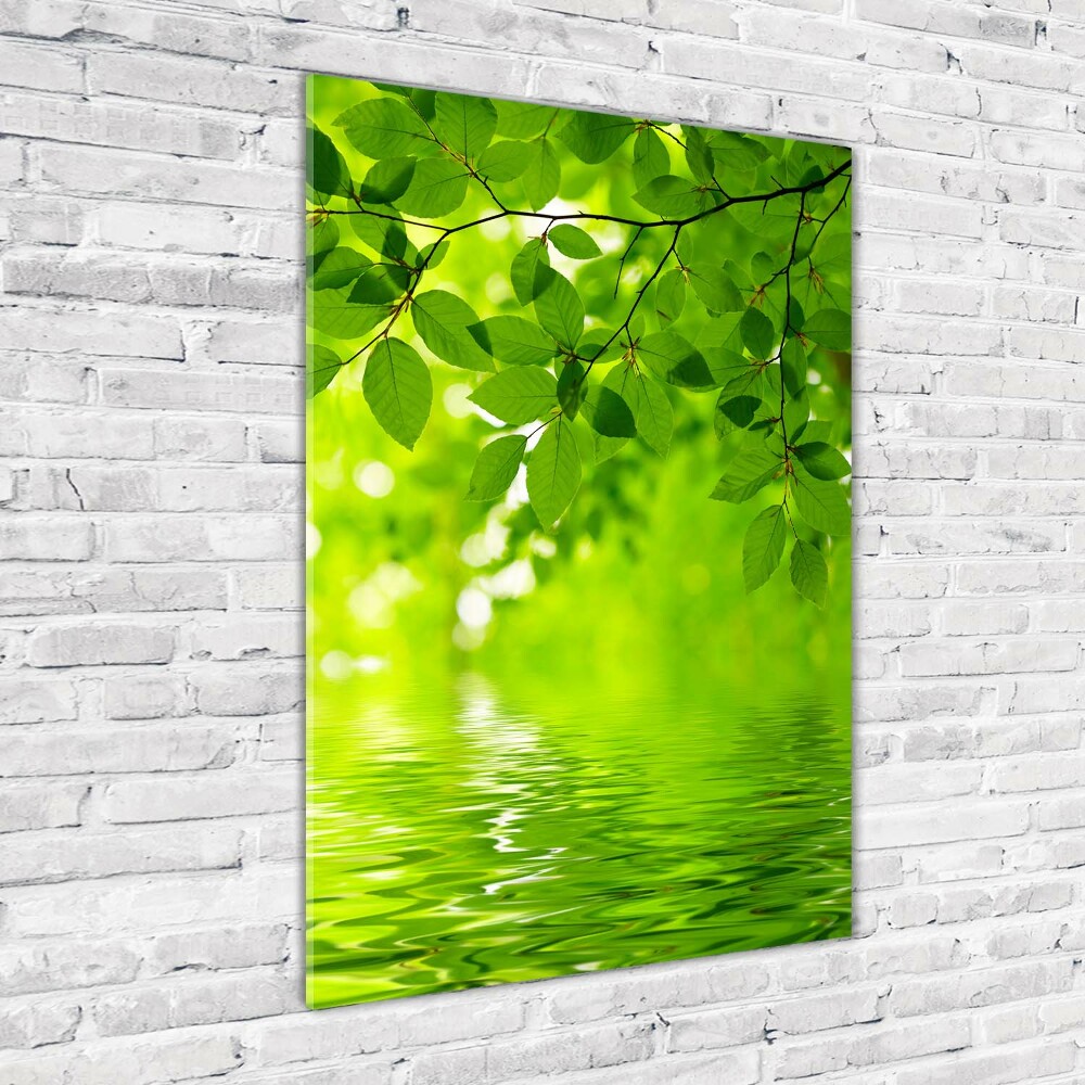 Print on a a glass Green leaves