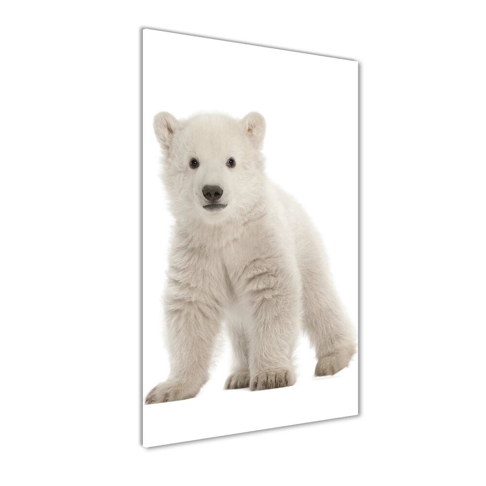 Print on a a glass A polar bear