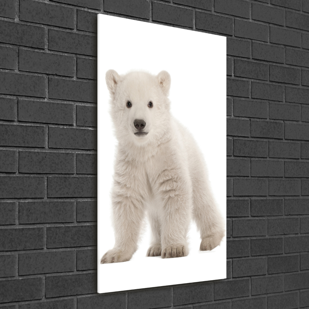 Print on a a glass A polar bear