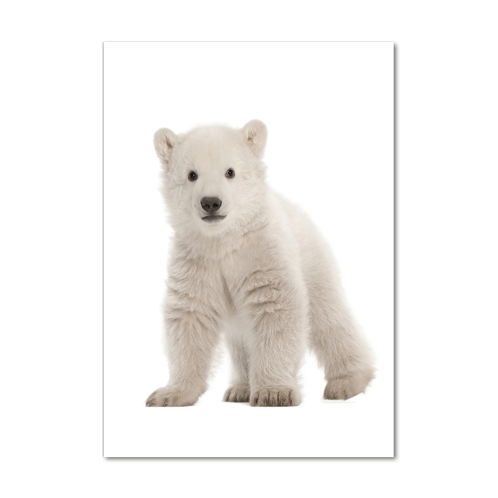 Print on a a glass A polar bear