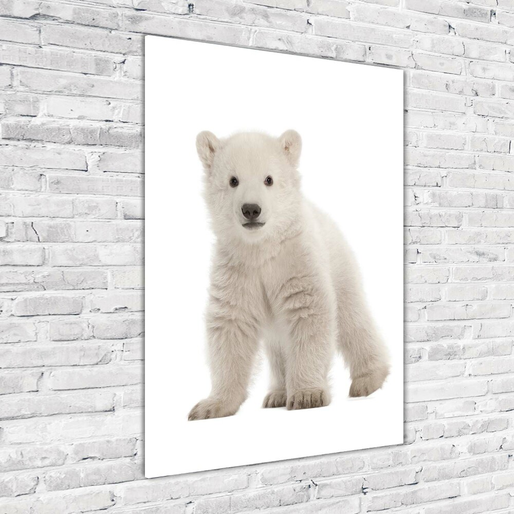 Print on a a glass A polar bear