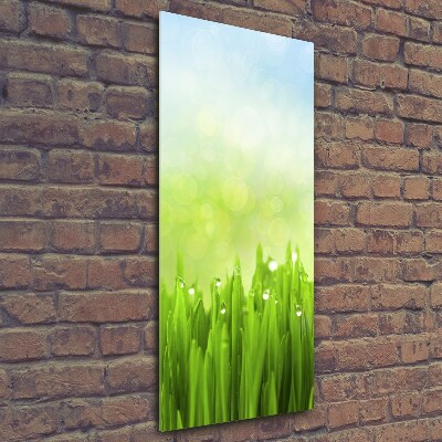 Glass art picture Grass