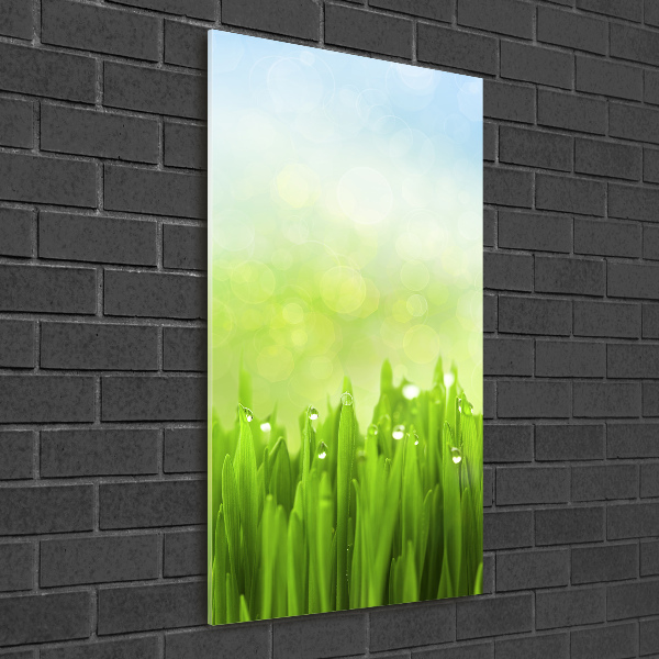 Glass art picture Grass