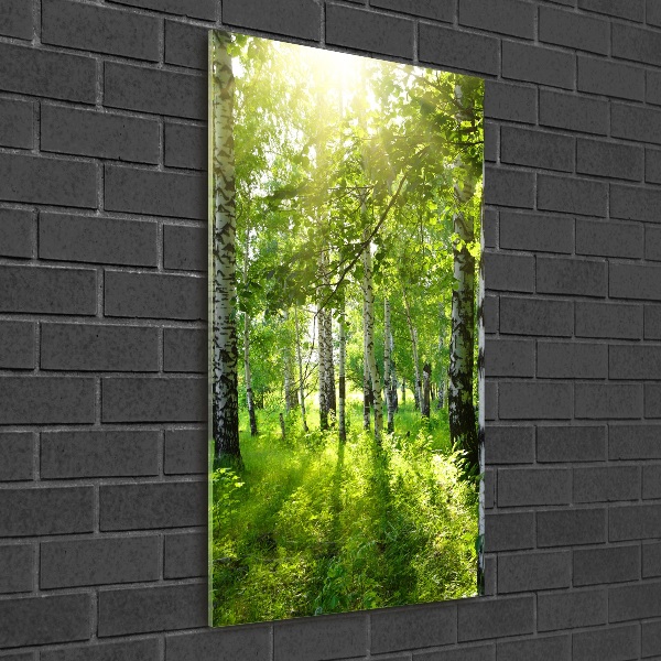 Photo printed on glass Birch forest