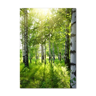 Photo printed on glass Birch forest