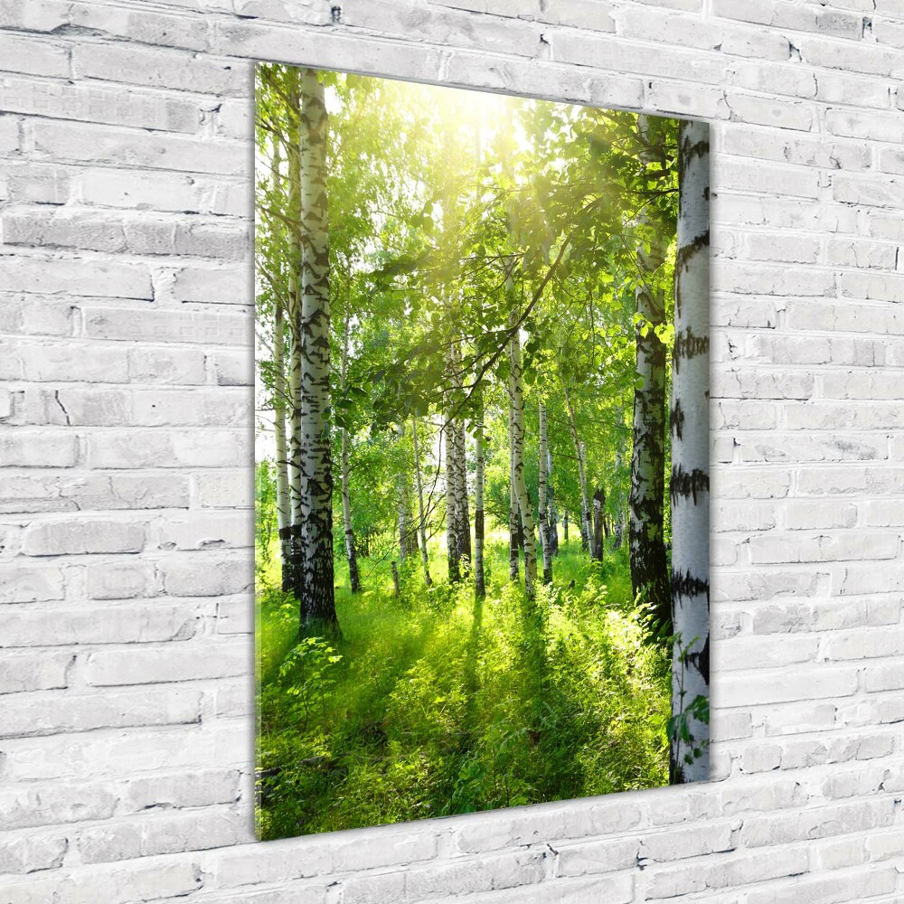 Photo printed on glass Birch forest