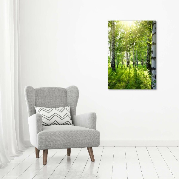 Photo printed on glass Birch forest