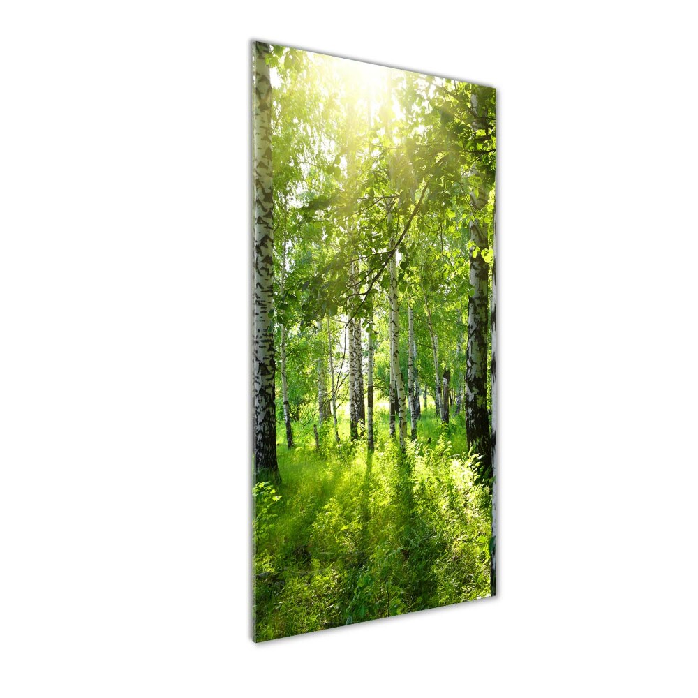 Photo printed on glass Birch forest