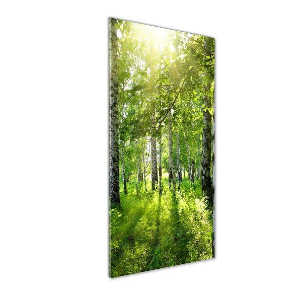 Photo printed on glass Birch forest