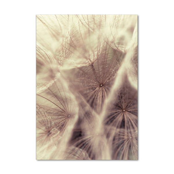 Glass art picture Dandelion