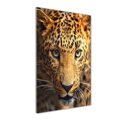 Print on a a glass leopard