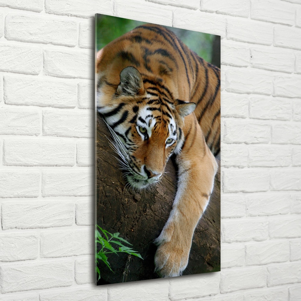 Print on a a glass Tiger on a tree