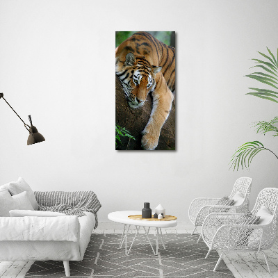 Print on a a glass Tiger on a tree