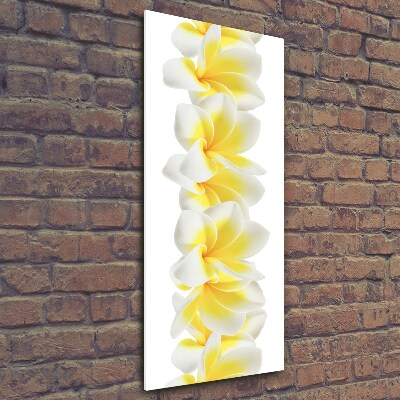 Photo printed on glass Plumeria