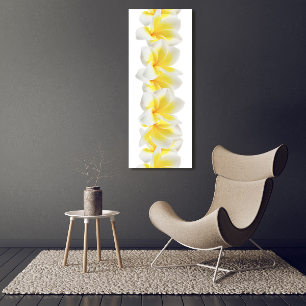 Photo printed on glass Plumeria